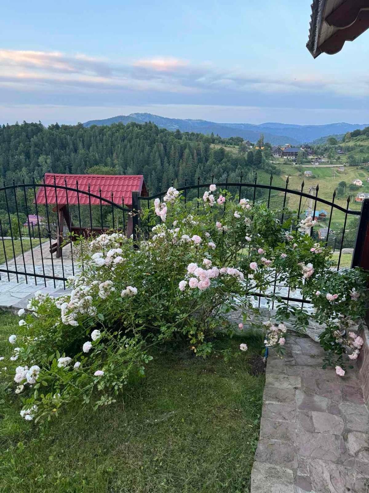 Карпатский Рай Jaremtsche Exterior foto